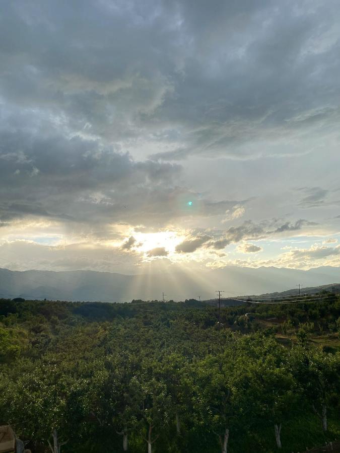 Nena Dashuri Agroturizem Peshkopi Dış mekan fotoğraf