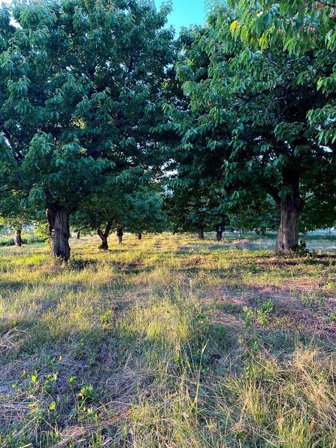 Nena Dashuri Agroturizem Peshkopi Dış mekan fotoğraf